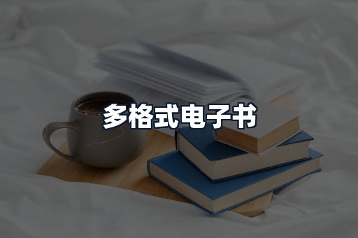 多格式电子书